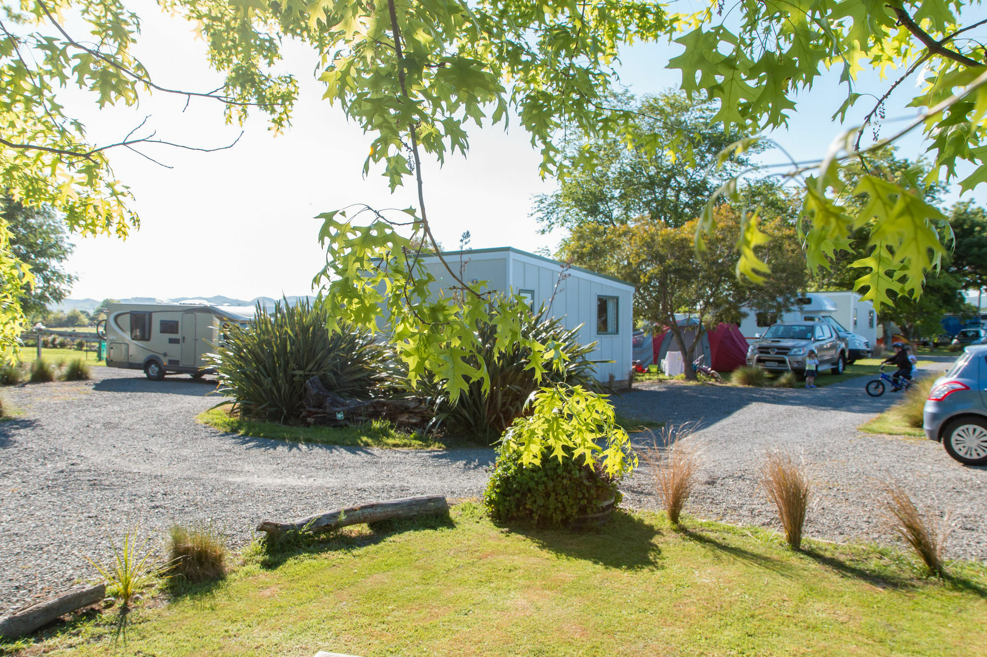 Martinborough Top 10 Holiday Park ภายนอก รูปภาพ